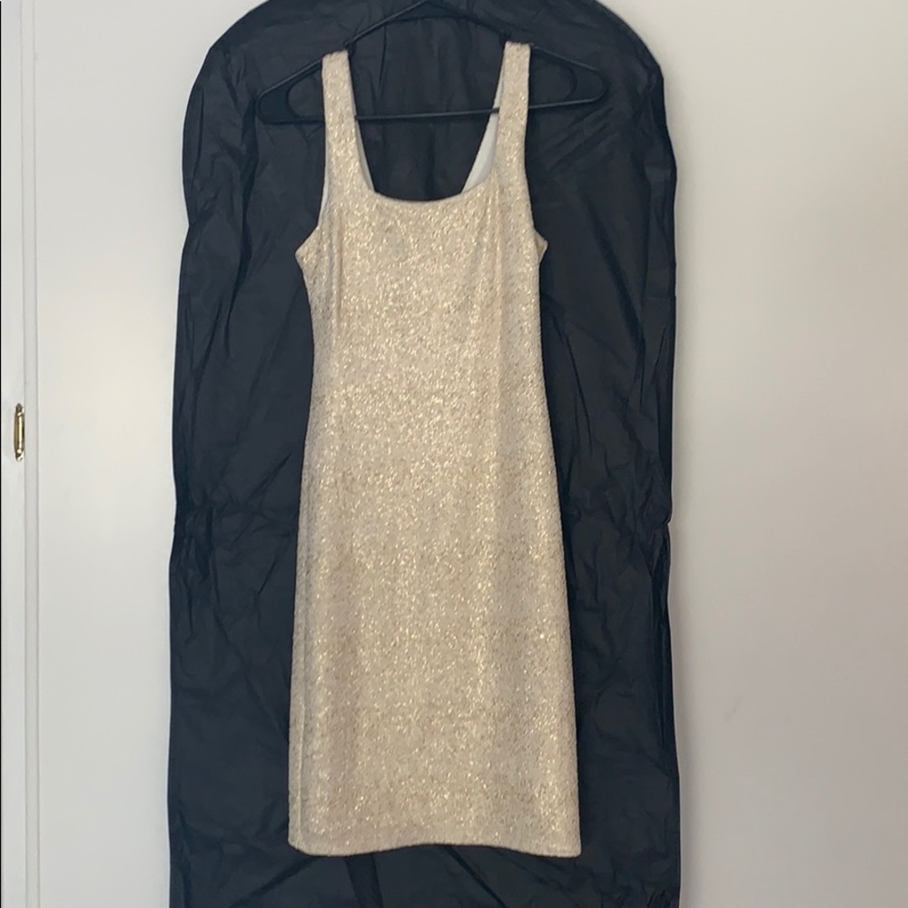 Love..ady cream gold sheath dress